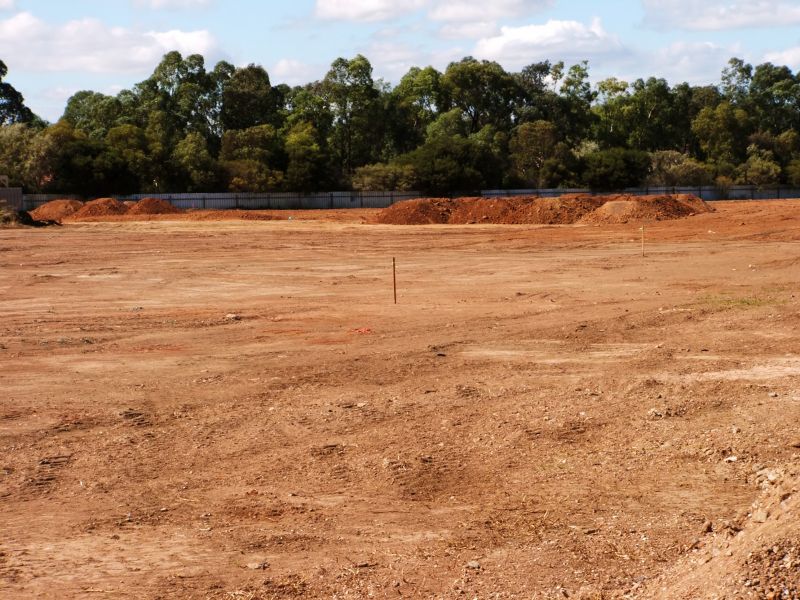 Land Preparation in Progress