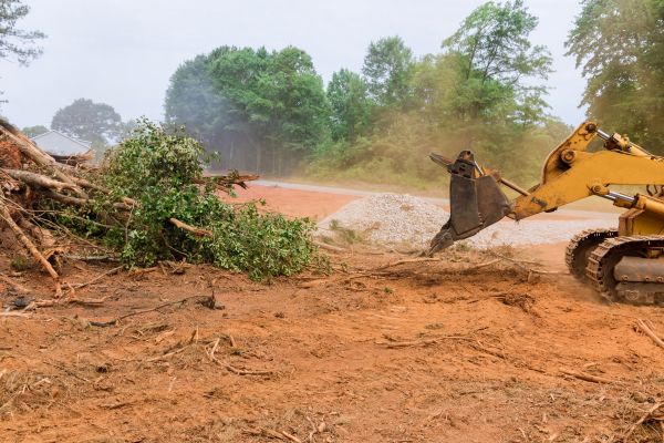 Cost of Forestry Mulching Service in Auburn