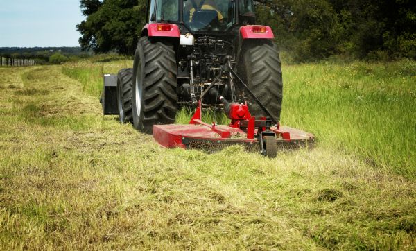 Cost of Brush Clearing Service in Auburn