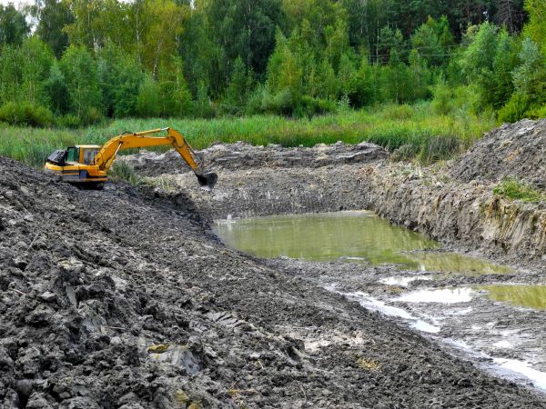 Cost of Lake Lot Clearing in Auburn