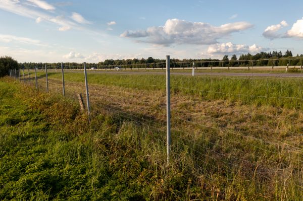 Cost of Property Line Clearing in Auburn